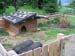 02 Haengebauchschwein